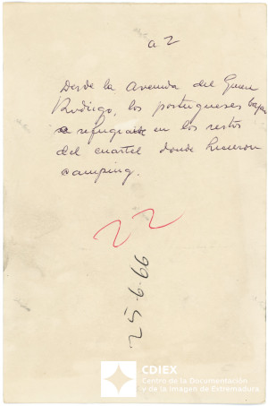 008.MM.FOT.P_1. 00186 (reverso).jpg