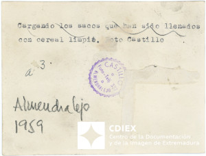 008.MM.FOT.P_1. 00170 (reverso).jpg