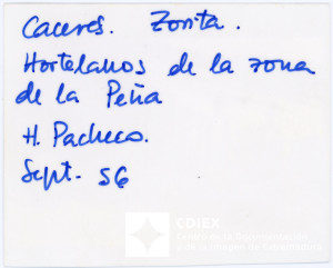 008.MM.FOT.P_1. 00146 (reverso).jpg