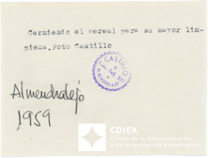 008.MM.FOT.P_1. 00173 (reverso).jpg
