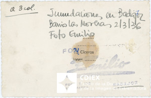 008.MM.FOT.P_1. 00169 (reverso).jpg