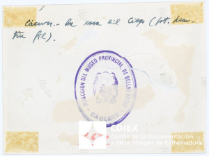 008.MM.FOT.P_1. 00196 (reverso).jpg