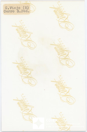 008.MM.FOT.P_1. 00343 (reverso).jpg