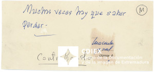 008.MM.FOT.P_1. 00087 (reverso).jpg
