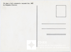 008.MM.FOT.P_1. 00427 (reverso).jpg