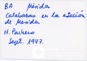 008.MM.FOT.P_1. 00492 (reverso).jpg