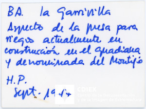 008.MM.FOT.P_1. 00495 (reverso).jpg