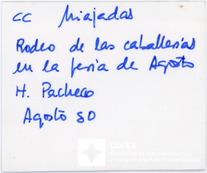 008.MM.FOT.P_1. 00567 (reverso).jpg