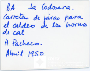 008.MM.FOT.P_1. 00542 (reverso).jpg