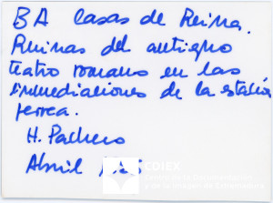 008.MM.FOT.P_1. 00503 (reverso).jpg