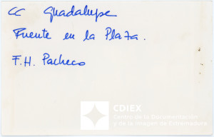008.MM.FOT.P_1. 00573 (reverso).jpg