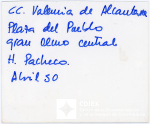 008.MM.FOT.P_1. 00489 (reverso).jpg
