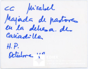 008.MM.FOT.P_1. 00558 (reverso).jpg
