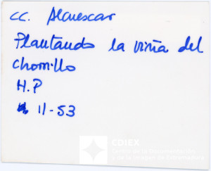 008.MM.FOT.P_1. 00510 (reverso).jpg