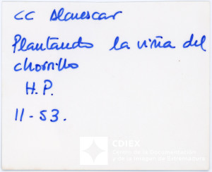 008.MM.FOT.P_1. 00509 (reverso).jpg