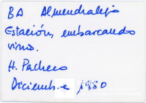 008.MM.FOT.P_1. 00501 (reverso).jpg