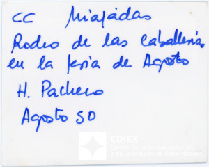 008.MM.FOT.P_1. 00566 (reverso).jpg