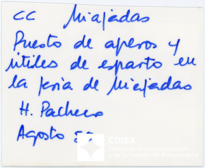 008.MM.FOT.P_1. 00561 (reverso).jpg