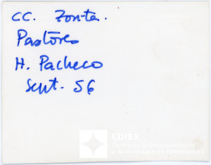 008.MM.FOT.P_1. 00490 (reverso).jpg