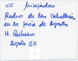 008.MM.FOT.P_1. 00565 (reverso).jpg