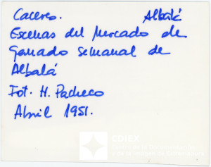 008.MM.FOT.P_1. 00554 (reverso).jpg