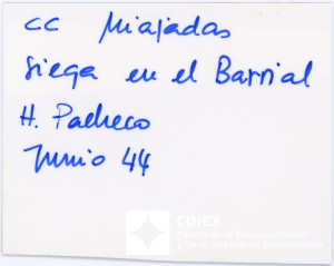 008.MM.FOT.P_1. 00559 (reverso).jpg