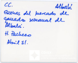 008.MM.FOT.P_1. 00553 (reverso).jpg