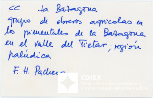 008.MM.FOT.P_1. 00576 (reverso).jpg