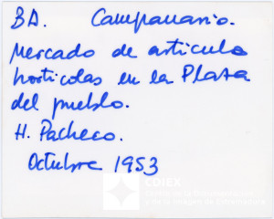 008.MM.FOT.P_1. 00540 (reverso).jpg