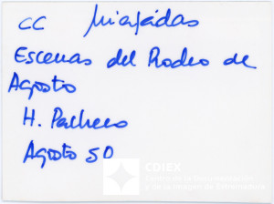 008.MM.FOT.P_1. 00563 (reverso).jpg