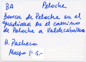 008.MM.FOT.P_1. 00541 (reverso).jpg