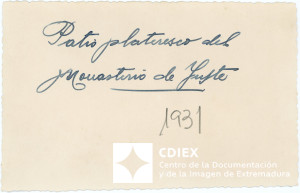 008.MM.FOT.P_1. 00451 (reverso).jpg