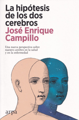 La hipótesis de los dos cerebros.jpg