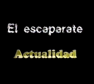 el escaparate.png