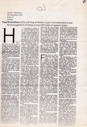 1996-09-08 - Sunday Telegraph - 015.FFMPRE00065.jpg
