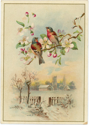 004.FCB-DOC-00001 (reverso).jpg