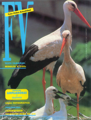 Número 30 - 1991.jpg