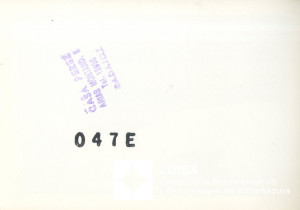 016.MTA-FOT-P_1-00116(reverso).jpg