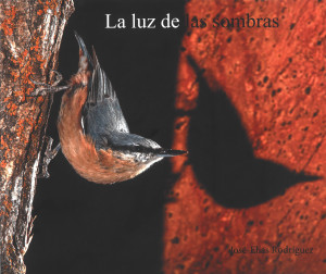 La luz de las sombras.jpg