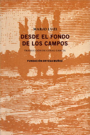 Desde el fondo de los campos.jpg