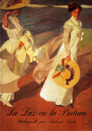 La luz en la pintura.jpg