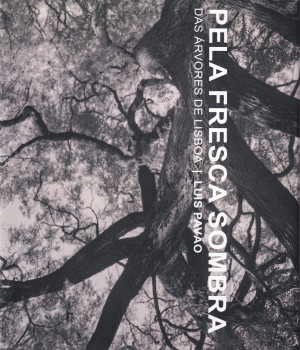 Pela fresca sombra.jpg