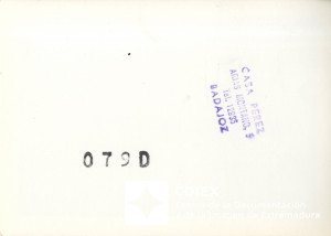 016.MTA-FOT-P_1-00163 (reverso).jpg