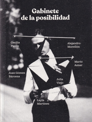 Gabinete de la posibilidad.jpg