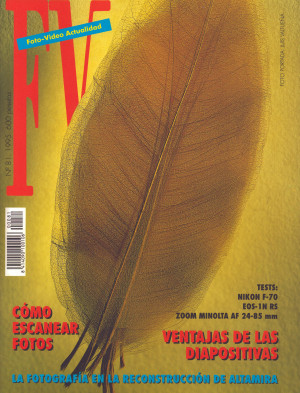 Nº 81 (1995).jpg